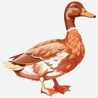 A colorful duck eps vector
