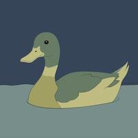 A colorful duck eps vector