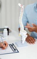 Orthopedists holding digital tablet and pointing at model. Concept of osteoporosis, back pain, lumbar, chiropractic and health. photo
