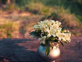 Beautiful white Orange Jasmine in a silver vase at the garden. photo