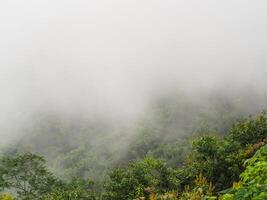 Fog on the mountains in the rainy season photo