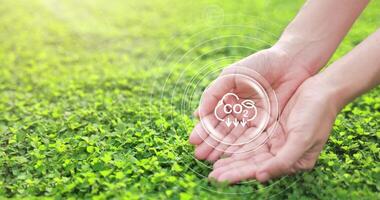 Woman hand on grass with a CO2 icon slowly showing up and Renewable energy icons from sun, tides, and wind rotating around. reduce carbon emissions to limit global warming and climate change. 4k VDO. video