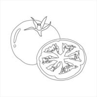 tomato illustration in line drawing isolated on a white background. design element design illustrations of tomatoes that can be used to coloring page with a vegetable theme vector
