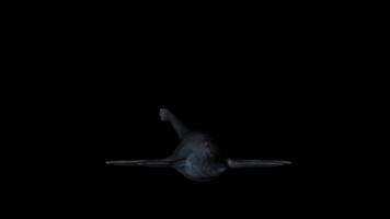 Elasmosaurus Dinosaur in Rotation on Black Background video