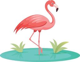 Flamingo walking in shallow water vector
