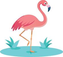 Flamingo standing in water vector