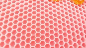 Honey flows down on artificial honeycomb wax, close-up view video