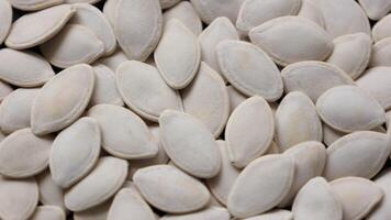Pumpkin seeds pattern texture background video