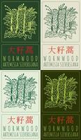 Set of drawing WORMWOOD IRIS in Chinese in various colors. Hand drawn illustration. The Latin name is ARTEMISIA SIEVERSIANA. vector