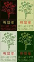 Set of drawing ICELAND POPPY in Chinese in various colors. Hand drawn illustration. The Latin name is PAPAVER NUDICAULE L. vector