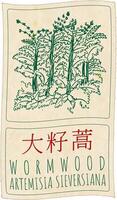 Drawing WORMWOOD in Chinese. Hand drawn illustration. The Latin name is ARTEMISIA SIEVERSIANA vector