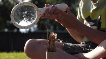 Hand of a boy with a magnifying glass who is trying to set fire to the grass video