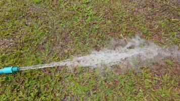 A water hose is spraying water on a vibrant green lawn with a hose connected in the background video