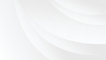 white background with abstract artistic color gradient and elegant curve line vector