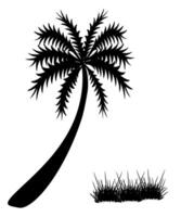 palm tree silhouette vector