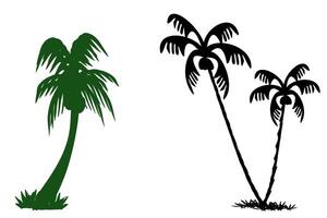 palm tree silhouette vector