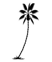 palm tree silhouette vector