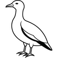 bird silhouette with white background vector