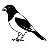 bird silhouette with white background vector