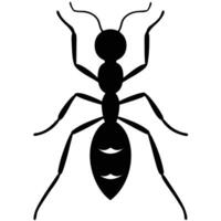 Ant silhouette with white background vector