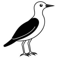 Bird silhouette with white background vector