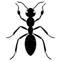 Ant silhouette with white background vector