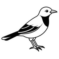 Bird silhouette with white background vector