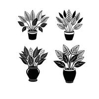plants with vase clean line vector