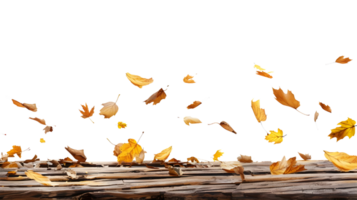 empty Wooden table base with autumn leaves side view for product display isolated on transparent background png