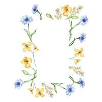 Frame with yellow and blue flowers watercolor illustration isolated on white background. Celandine and cornflower in scetch. Medicinal plant, useful flower hand drawn. Design for label, package vector