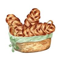 Challah bread in a straw basket watercolor illustration isolated on white background.Tradition Jewish bread for bakery hand drawn . Several challa. Element for design bakeshop, pastry, cookbook. vector