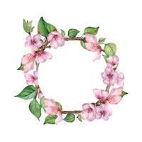 Watercolor circle frame with pink flowers of fruit tree isolated on white. Design template of floral frame with blossom branch hand drawn. Element for wedding invitation, packaging, label product. vector