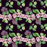 Blooming branch of apple tree with pink flowers seamless pattern watercolor isolated on dark. Blossom fruit tree branch hand drawn. Design element for packaging, backdrop, wallpaper, textile. vector