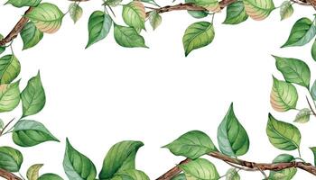 Watercolor frame with tree branch and gentle leaves isolated on white. Floral banner with fruit tree branch hand drawn. Element for wedding invitation, card, packaging, label product. vector