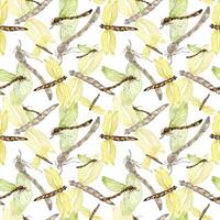 Dragonflies watercolor and shadows seamless pattern isolated on white. Flying insects illustration hand drawn. Colorful sketch bugs with transparent wings. Design for textile, tableware, wrapping. vector