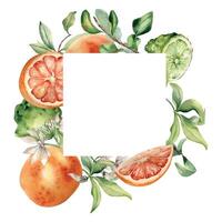 Frame with mixed ripe citrus and white flowers watercolor illustration isolated. Hand drawn grapefruit, tree branch and jasmine in botanical sketch style for aroma products label, package cosmetic. vector