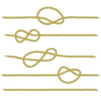 Set of ropes with different nodes. Drawing related to maritime. Sailor rope tying the nautical knot. vector