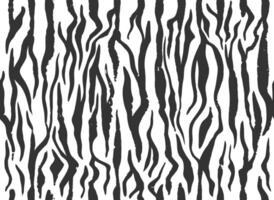 Zebra skin, stripes grunge pattern. Animal print. Black and white background. Seamless texture. vector