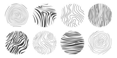 Wood texture material doodle hand drawn line. Tree trunk geometric curve and wave contour. Rings and circles. vector