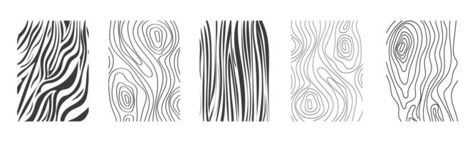 Wood texture material doodle hand drawn line. Tree trunk geometric curve and wave contour. Rings and circles. vector