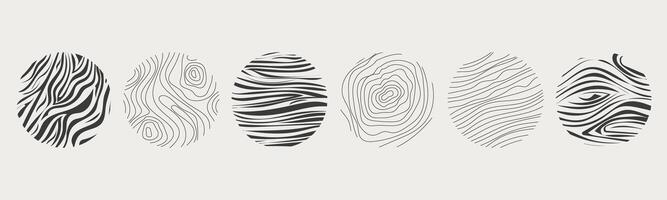 Wood texture material doodle hand drawn line. Tree trunk geometric curve and wave contour. Rings and circles. vector