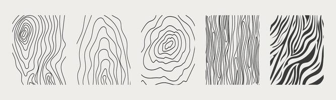 Wood texture material doodle hand drawn line. Tree trunk geometric curve and wave contour. Rings and circles. vector