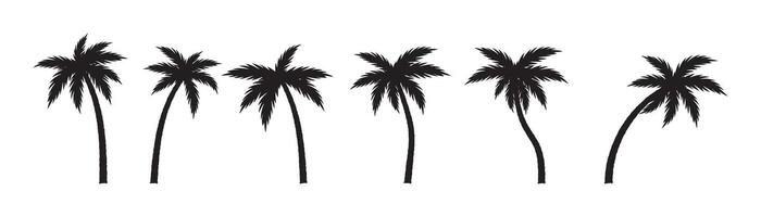 Groovy boho silhouette palm tree illustration vector