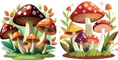 Set of different mushrooms vector