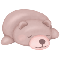 Seal cartoon with a sleeping pose watercolor style illustration png