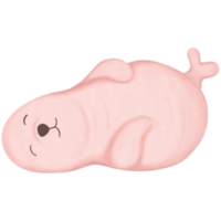 Seal cartoon with a comfortable and happy sleeping pose png