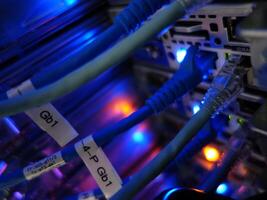 network cables connected to switch - closeup of data center hardware technology photo
