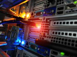 network cables connected to switch - closeup of data center hardware technology photo