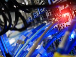 network cables connected to switch - closeup of data center hardware technology photo