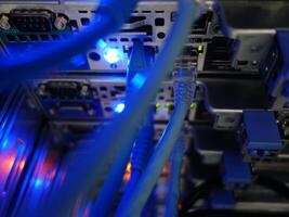 network cables connected to switch - closeup of data center hardware technology photo